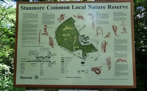 Stanmore Common